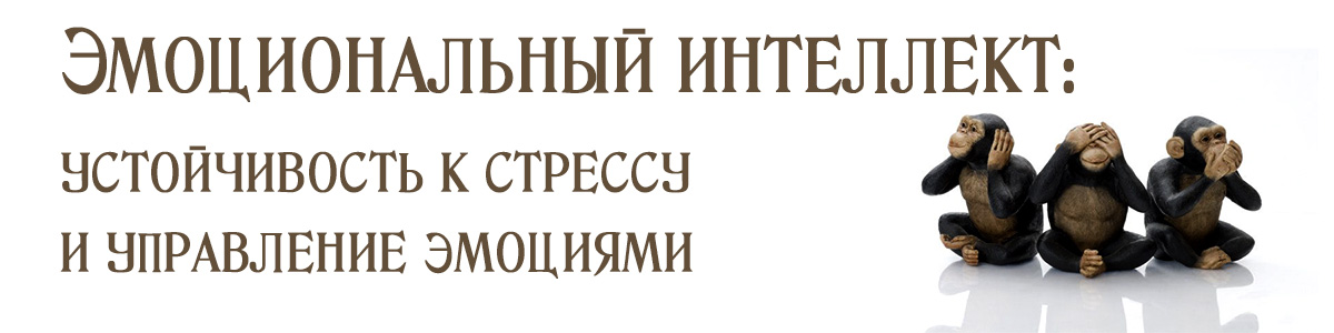 Игротренинг. Эмоциональный интеллект: устойчивость к стрессу  и управление эмоциями